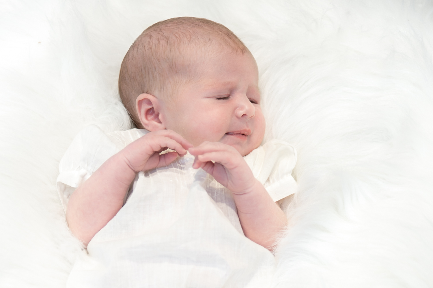 Piper's Newborn Photos